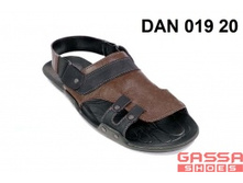 800�. ������DAN-019-20