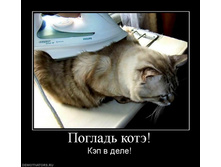 ������� ���� ...