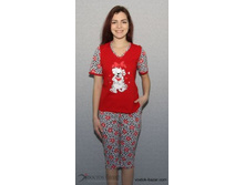 �������� ������� 0110