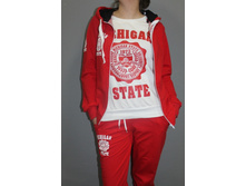 ������ ������ 3 � 1 Michigan red logo red- 990 ���.