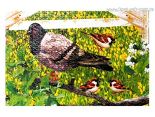 ALTACTO creative ���� - �������  "������������� ��� ��������"_PN120PS_����_78,3 ���.