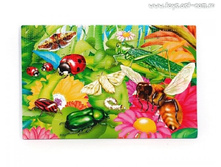 ALTACTO creative ���� - ������� "��� ���������" ����� No2_PN151PM_����_426,87 ���.