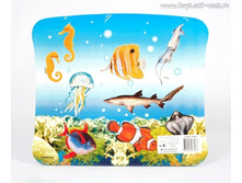 ALTACTO creative ���� - �������  "������� ���"_PN322_����_182,32 ���.