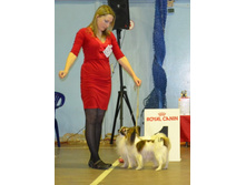 DSC_018600 ����1.jpg