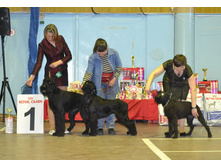 DSC_019100 ��������.jpg