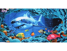 ���������  009 72�144�� 130���.jpg