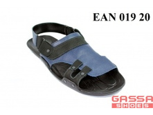 800�. �������EAN-019-20