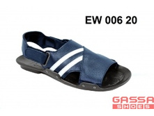 800�. �������EW-006-20