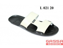 525�. �������L-021-20