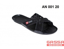 525�. �������AN-001-20