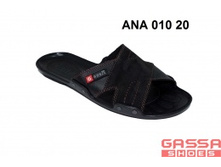 525�. �������ANA-010-20