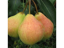 ����� ������. � ������� 1 ��