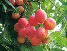 ����� �������� ����. � ������� 2 ��