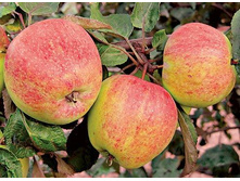 ������ �����. � ������� 2 ��