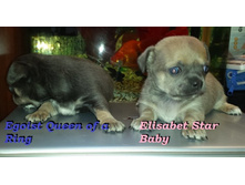 20140407_151603 (1).jpg