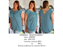 426282 (660-00)���������.jpg