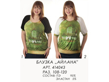 414043 ������ (650).jpg