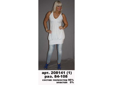 208141 (650-00) 1.jpg