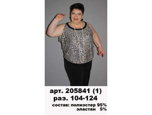 205841 (550-00) 1.jpg