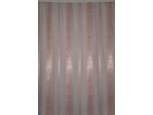 ���� ������ �����1.jpg