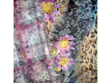 T 41-3 ��� 2.jpg