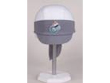 image198 - �����.jpg