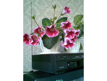 24.05.2010 21:18:38