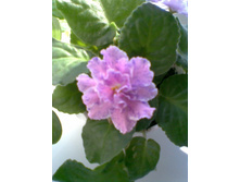 24.05.2010 21:18:42