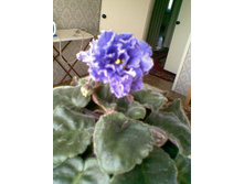 24.05.2010 21:23:58