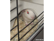 �� � ������!