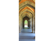 ���� � ������ ������������.jpg