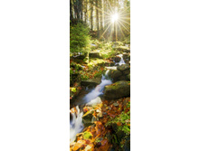 �������� �������.jpg