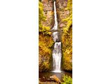 ������� ��������.jpg