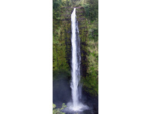 ������� �� ������� �����.jpg