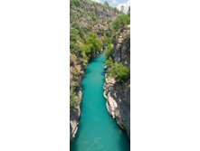 ������� ������, ������, ������.jpg