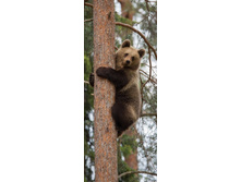 ����� ���������� �� ������.jpg