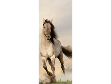 ����� �������.jpg