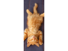 ��ԣ���, ������ �� �����.jpg