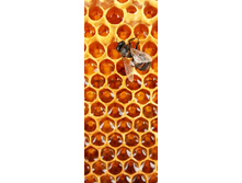 �������� ���� � ͣ��� � �����.jpg