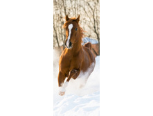 ������� �������� ������� ����� �������.jpg