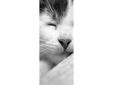 ���� ������ ��ԣ���.jpg