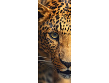 ������� ��������.jpg