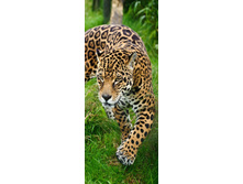 ����������� ������� ������.jpg