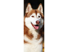 ��������� �����.jpg