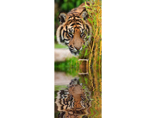 ������������ ����.jpg