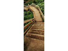 ����� � ��������.jpg