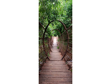 ��������� ����.jpg