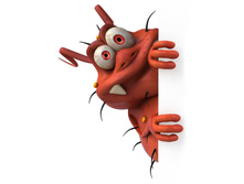 ������ 40�55��.jpg