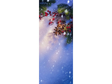 ������ ����� �� ����� ����.jpg