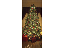 ���������� ����.jpg